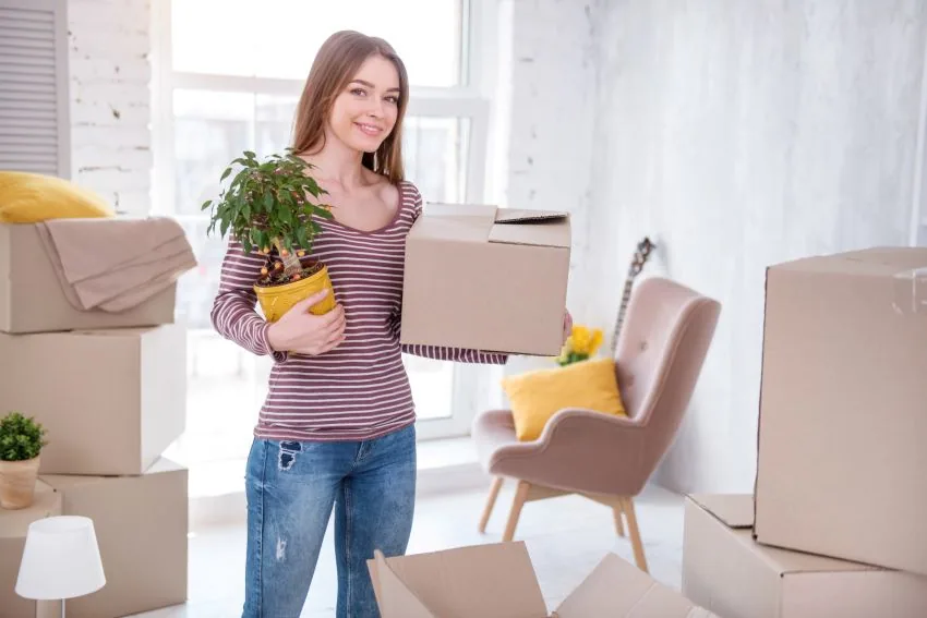 Hvordan transportere planter under en flytt