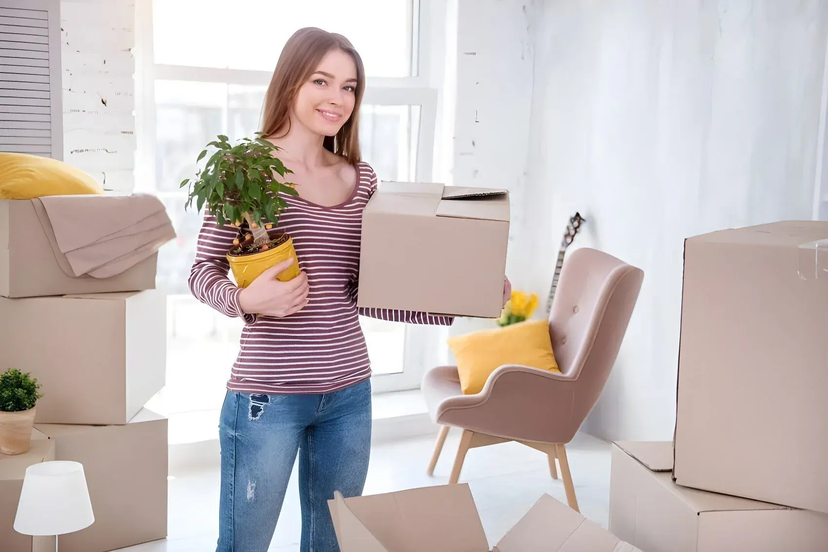 Transportar plantas en una mudanza: guía y normativa Canarias
