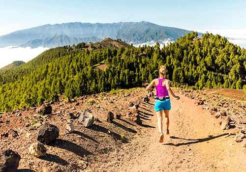 Flyttinger på La Palma